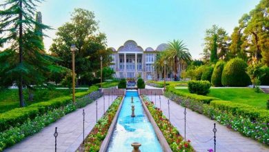 تصاویر باغ ارم شیراز