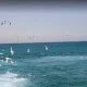 پرندگان دریایی اسکله تفریحی کیش