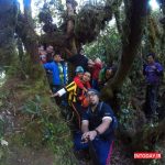کوهنوردی در ارتفاعات کامرون مالزی
