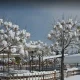 بوستان جنگلی غدیر مشهد در زمستان