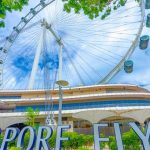 چرخ و فلک فلایر سنگاپور | SINGAPORE FLYER