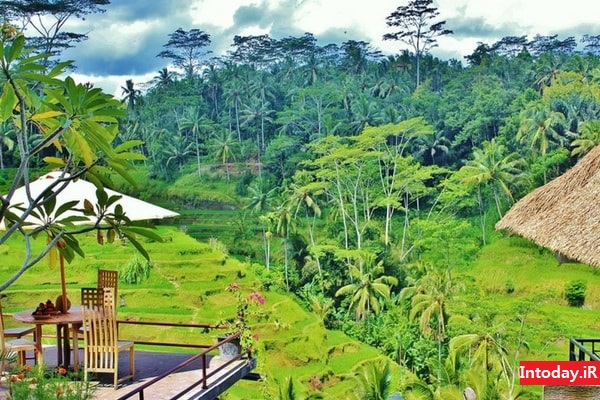 دهکده ناشنوایان بالی - Bengkala Village