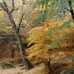 تصاویر روستای زیارت در پاییز