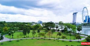 باغ های بای د بی سنگاپور | gardens by the bay singapore