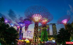 باغ های بای د بی سنگاپور | gardens by the bay singapore