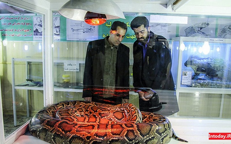 باغ خزندگان اصفهان - reptiles garden