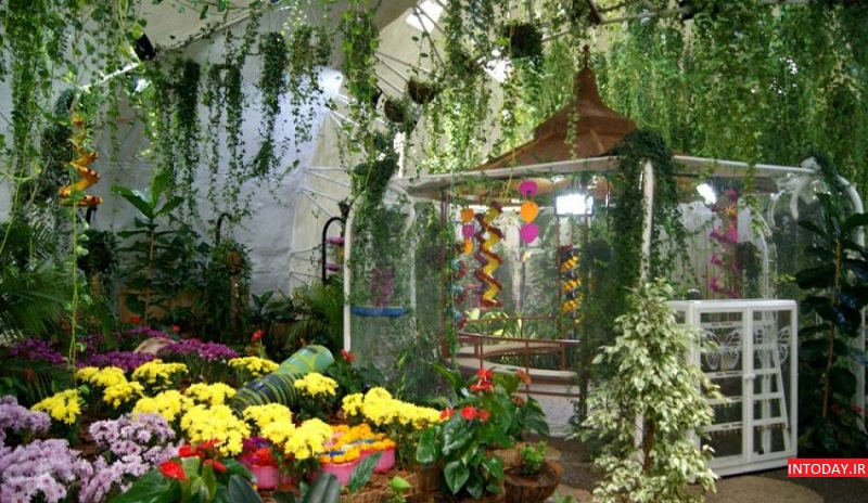 باغ گل میراکل گاردن دبی - Miracle Garden
