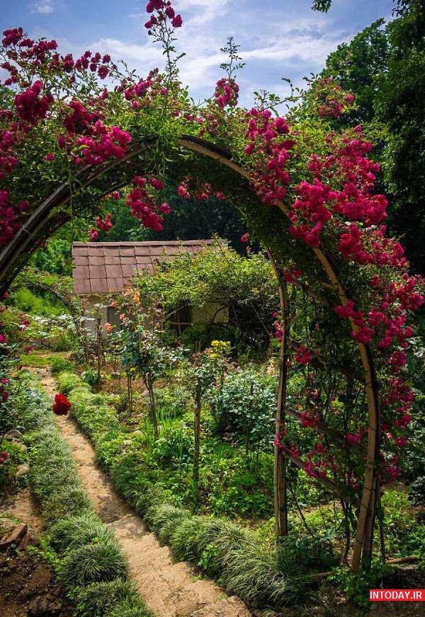 تصاویر باغ گیاه شناسی باتومی گرجستان