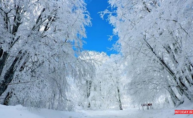 پارک ملی تفلیس در فصل زمستان