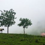 تصاویر روستای اولسبلنگاه ماسال در استان گیلان