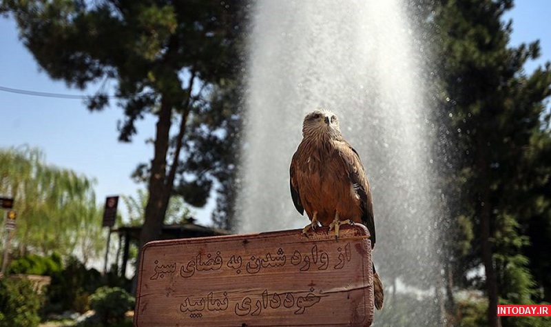 تصاویر باغ پرندگان تهران