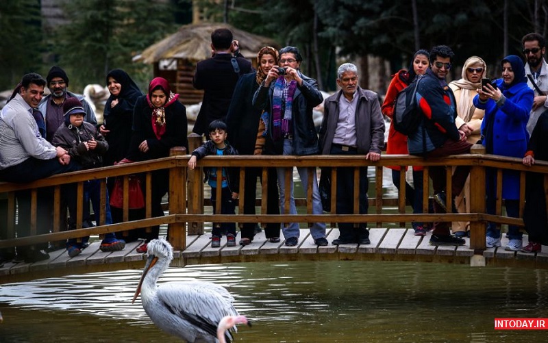 تصاویر باغ پرندگان تهران