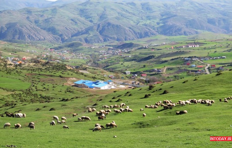 تصاویر روستای دیلمان سیاهکل استان گیلان