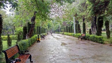 تصاویر پارک شهر تهران