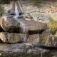 آبشار پارک جمشیدیه
