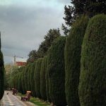 تصاویر پارک های جنوب تهران و مرکز