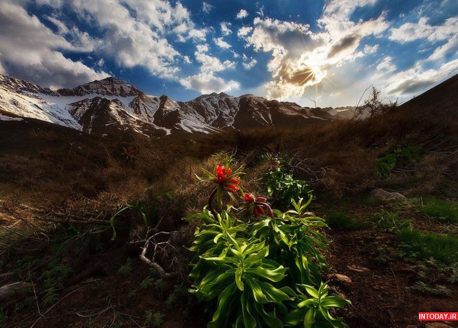 عکس گلستان کوه خوانسار