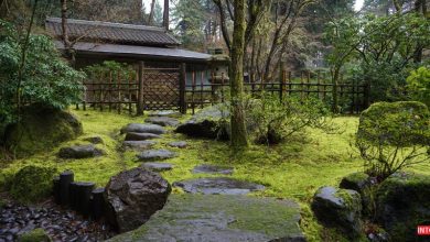 عکس باغ ژاپنی پورتلند امریکا