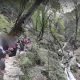 پیک نیک خانوادگی در آبشار کبودوال