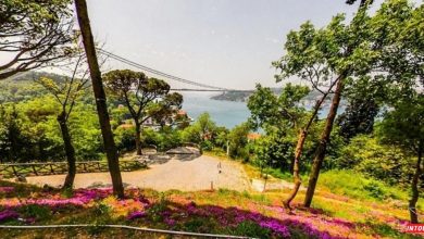 پارک طبیعت میحرابات استانبول