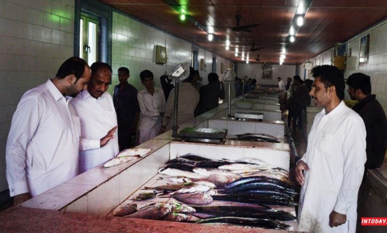 بازار ماهی فروشی چابهار