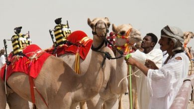 دانستنی های سفر به کویت