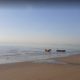 ساحل غدیر