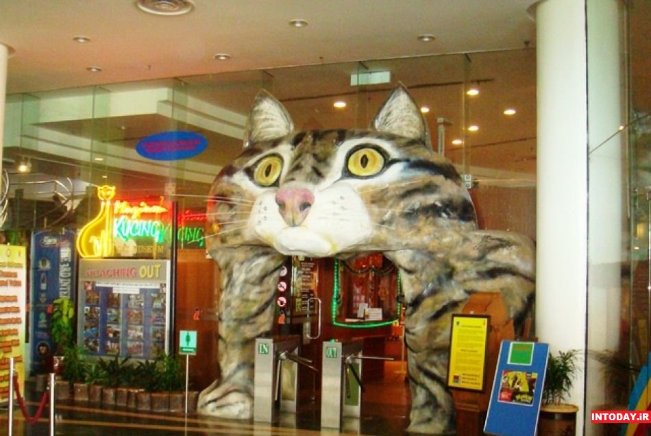 موزه گربه مسکو