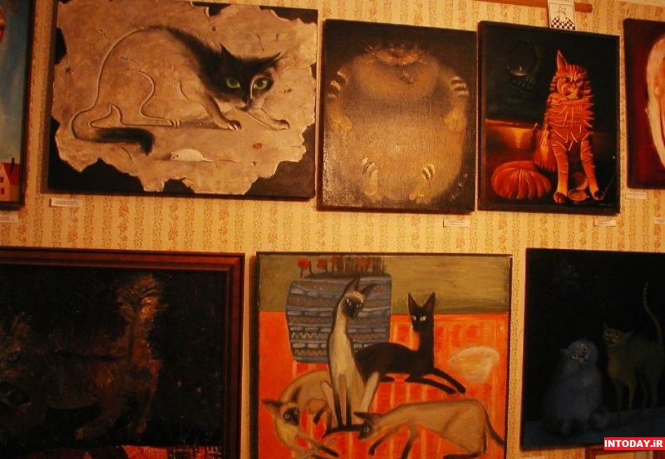 موزه گربه مسکو
