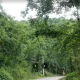 مسیر آبگرم لاویج در جنگل کشپل