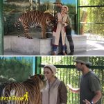 باغ وحش وکیل آباد مشهد با راهنمای بازدید
