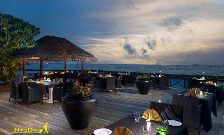 ویو هتل ویوانتا بای تاج کورال ریف مالدیو