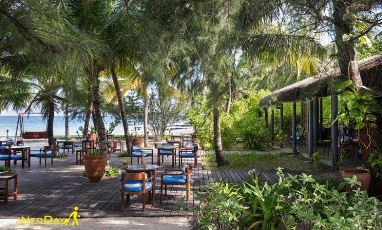 کافه ساحلی هتل ویوانتا بای تاج کورال ریف مالدیو