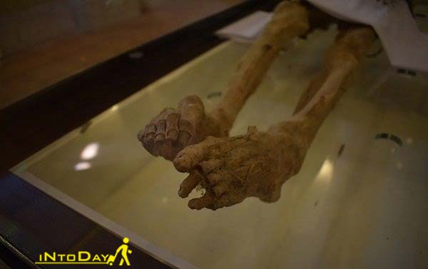 مومیایی پادشاه عیلامی در موزه ملی تاریخ علوم پزشکی