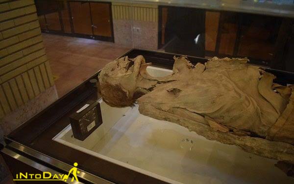 مومیایی 900 ساله در موزه ملی تاریخ علوم پزشکی