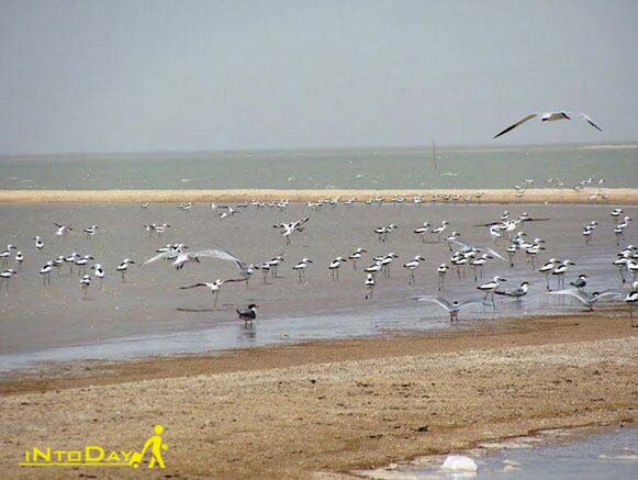 جزیره قبر ناخدا خوزستان
