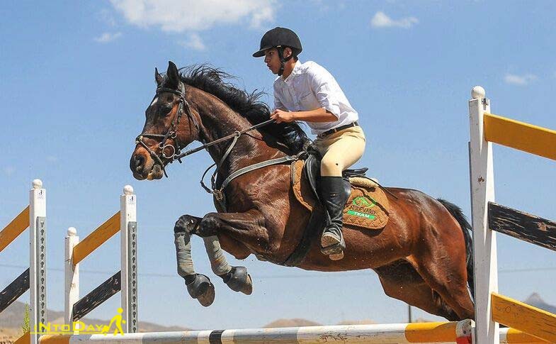 اسب سواری در سعادت آباد
