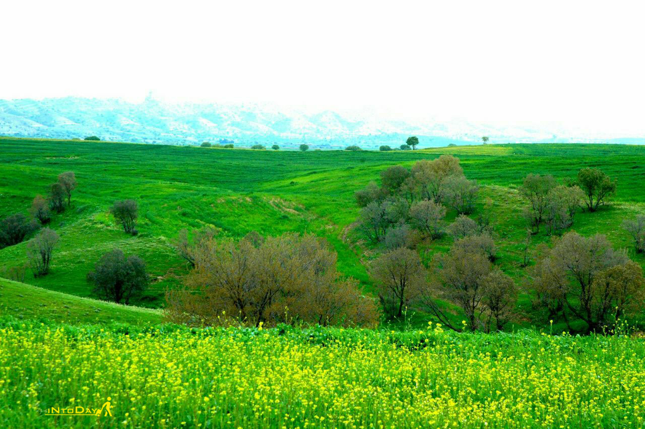 طبیعت گیلانغرب در کرمانشاه