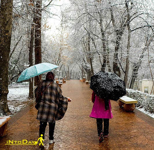 پارک های تهران در زمستان