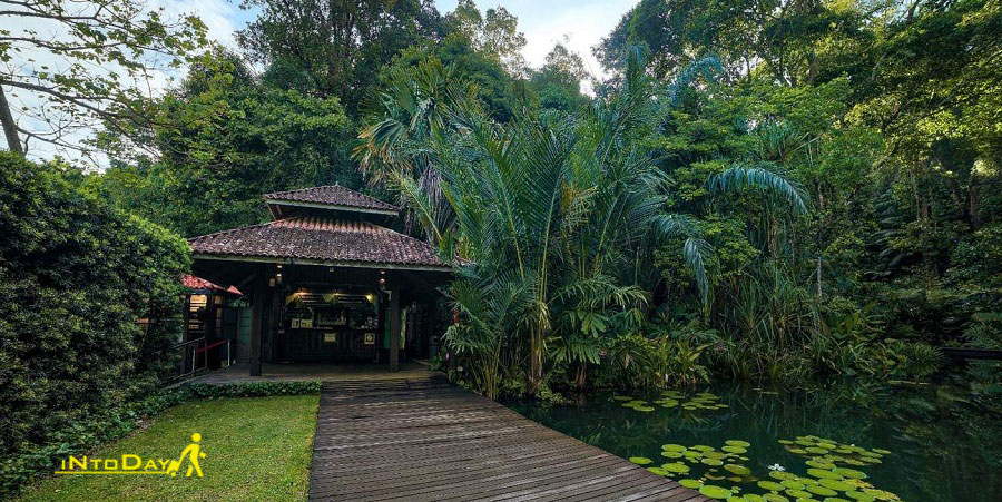 باغ گرمسیری پنانگ مالزی