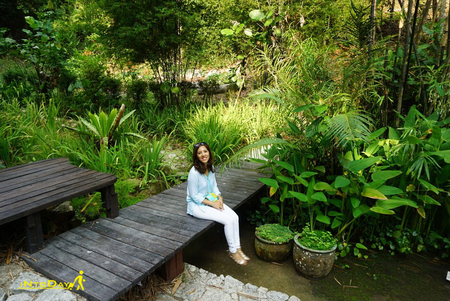 باغ گرمسیری پنانگ مالزی