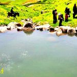چشمه آب معدنی علی زاخونی ماسوله
