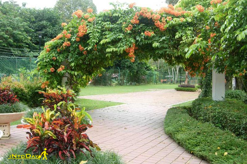 باغ گیاه شناسی پنانگ