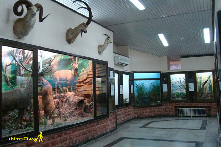موزه تاریخی طبیعی میرزا بایلو گالیکش