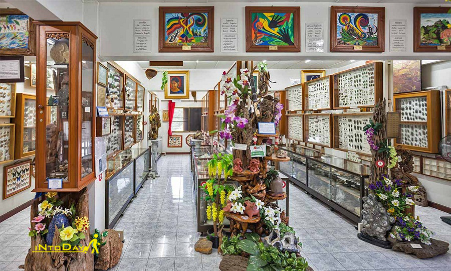 موزه حشرات جهان و عجایب طبیعی چیانگ مای