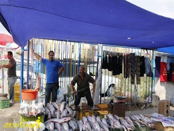 بازار ماهی فروشان لنگرود