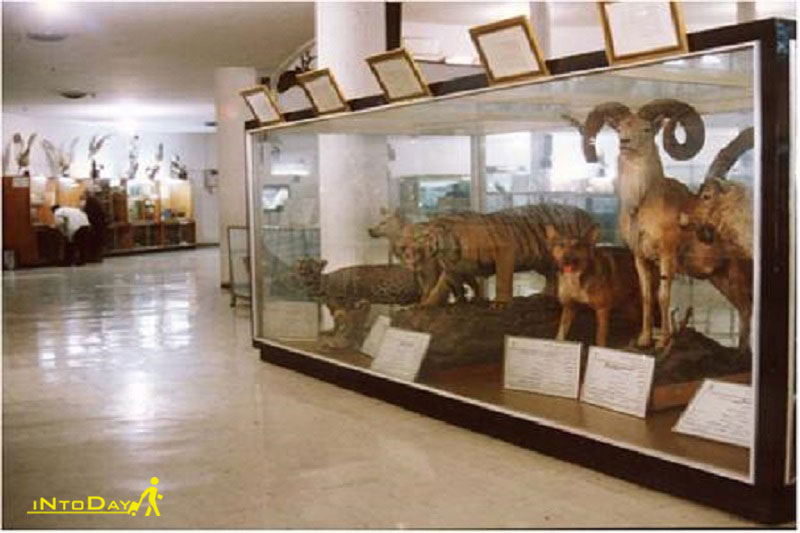 موزه تاریخی طبیعی کردستان