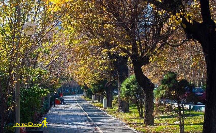 بلوار کشاورز ویژه پیاده روی در تهران