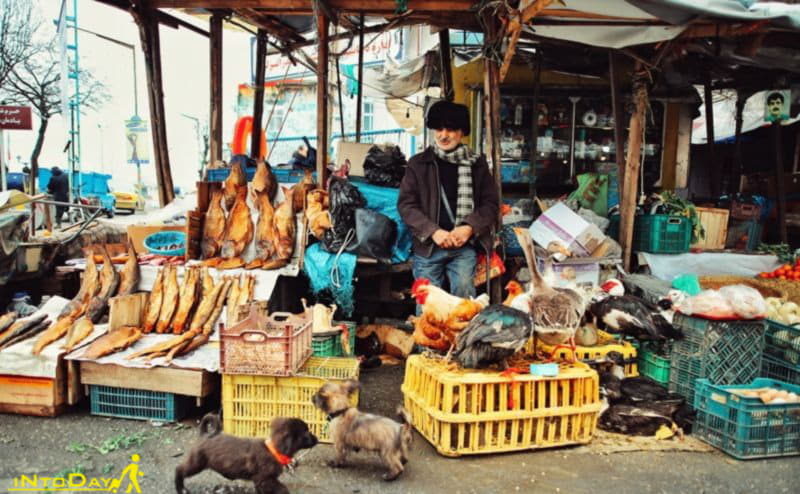 عکس بازار ماهی فروشان بندر انزلی