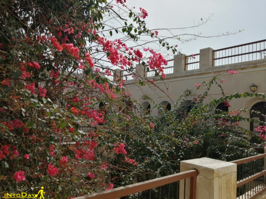 محله های تاریخی بوشهر